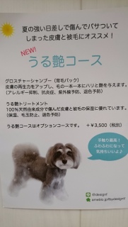 �����̃I�v�V����