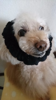 �j���[
