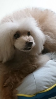 ���낻��