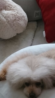 �ї������́c