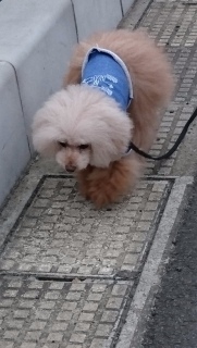 �ї������