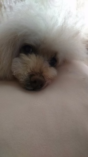 ���M�~���N���c
