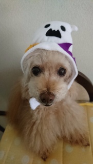 ���낻��