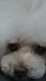 ���͂���c