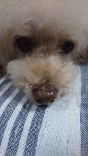 ���낻��