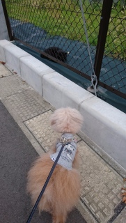 ���L������