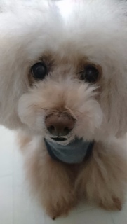 ���˂��蒆�c