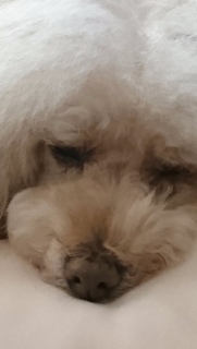 �C�����悭