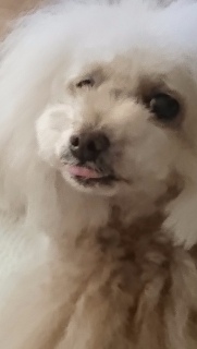 �y���b
