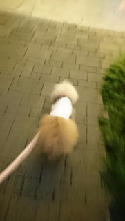 ���F�B