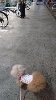 �����āc