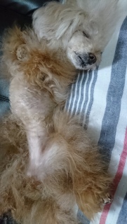 �܂�
