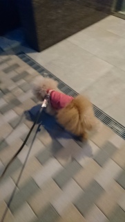 �Â��Ȃ��������