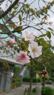 ����
