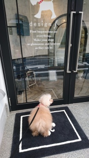 �T��������