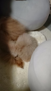 �����