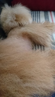 �\�񊮗�✂📱
