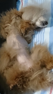 �y�`���Ȃ́c�H