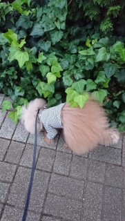 ���U��