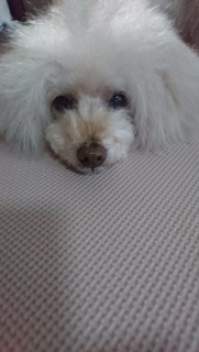 �܂����蒆��