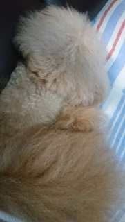 �[���͂�
