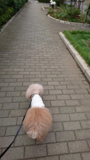 ���U��