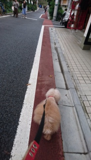 �����́c