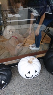 �T��������