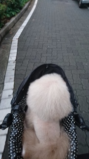 ����������c