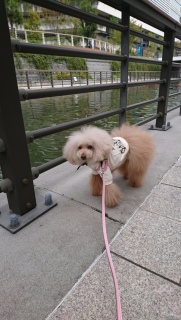 �쉈�����c