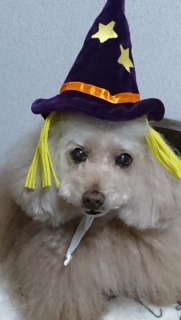 �\�s���K
