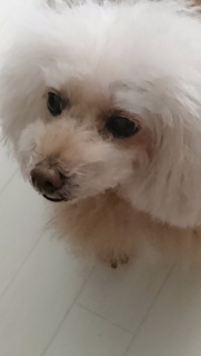 �����́c