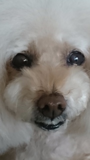 �����Ɓc