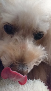 �y����