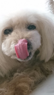 �y����