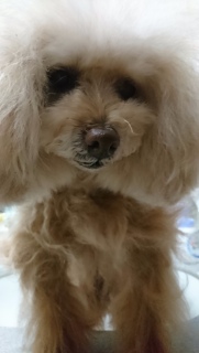 �A������c