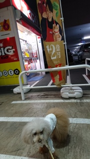 �󂭂������