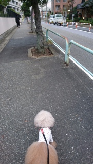 �S���́c