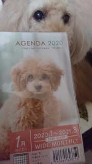 100�ςŁc