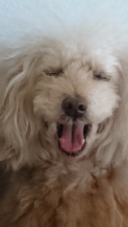 ���͂�[