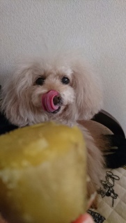 �y���[��