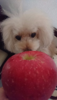 �����