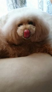 �y���[����