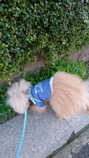 �N���N��