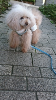 �������c